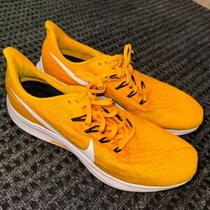 Nike Pegasus running shoes